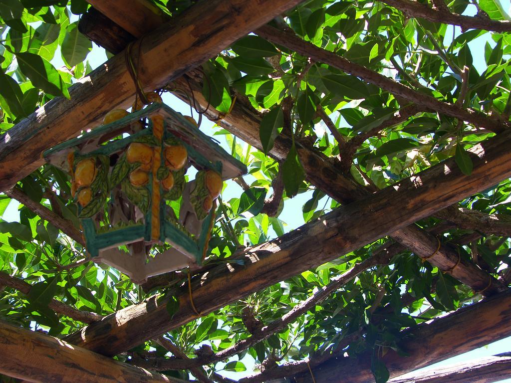 Locanda Degli Agrumi Conca dei Marini Εξωτερικό φωτογραφία